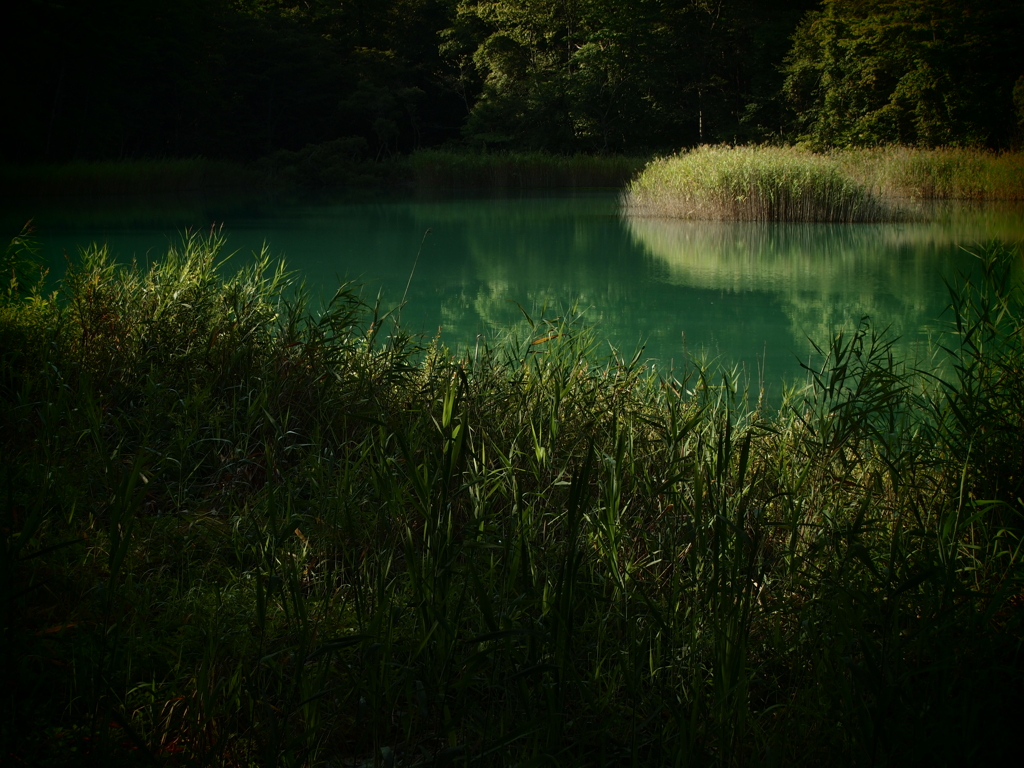 るり沼