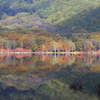 小田代湖西岸
