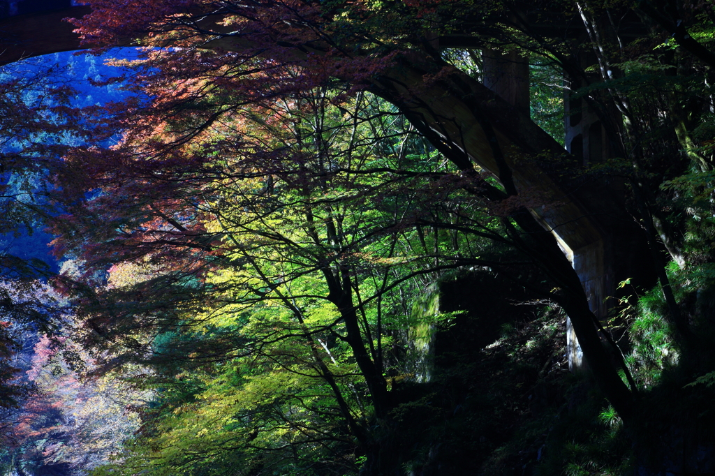 L'arc en terre