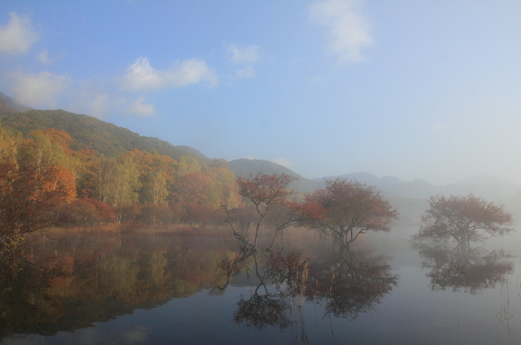 霧の中の風景