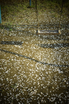 朝