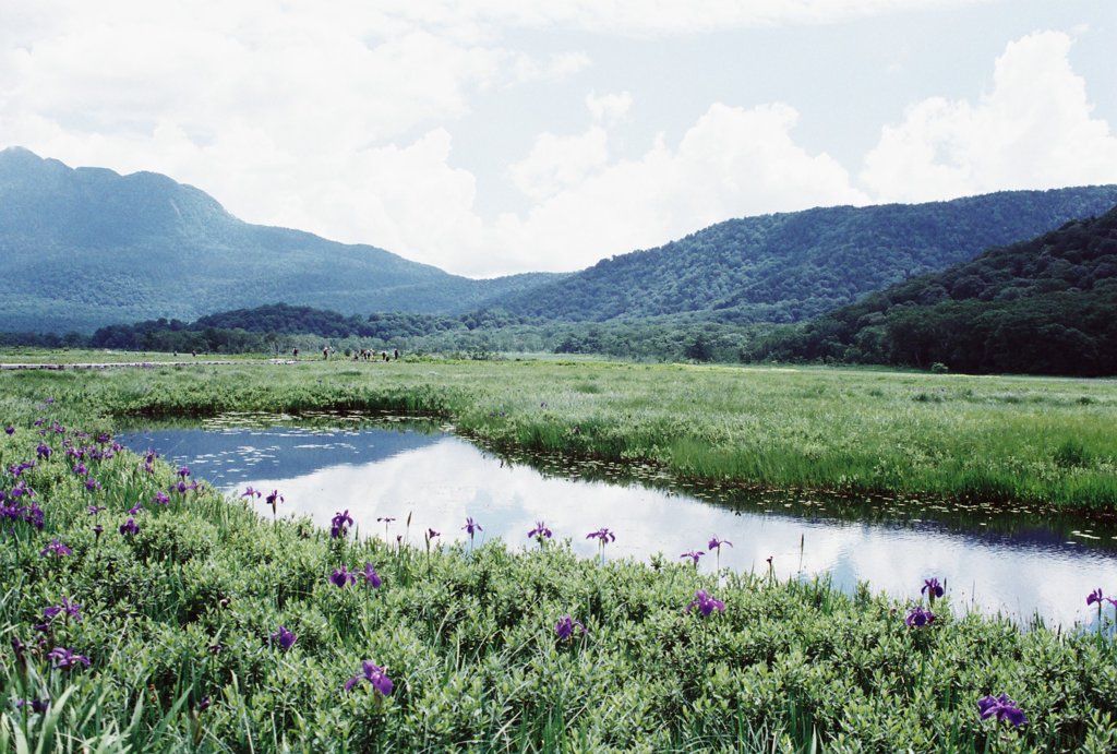 尾瀬国立公園