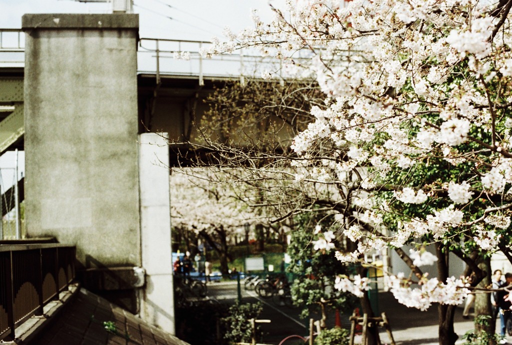東京