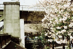 東京