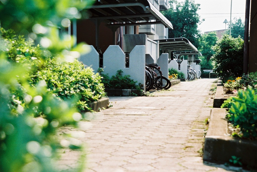 団地