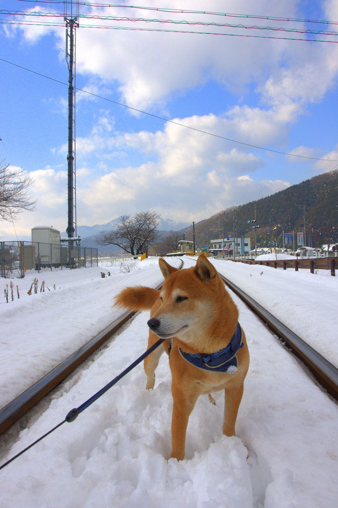 線路は続く・・・・