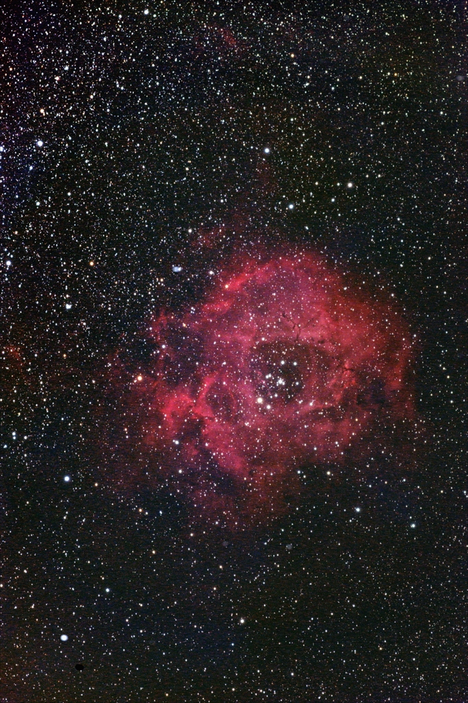 光害地で撮る天体―バラ星雲