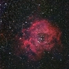 光害地で撮る天体―バラ星雲