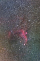ワシ星雲 - IC2177