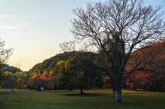 冬支度