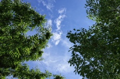 夏から秋へ