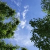 夏から秋へ