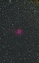 光害地で撮る天体-固定撮影でバラ星雲