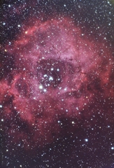 光害地で撮る天体―薔薇星雲(露光10時間)