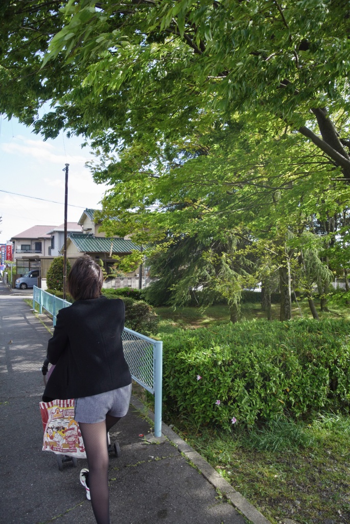 初夏の光
