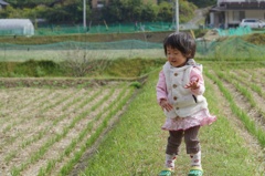 風と歌と