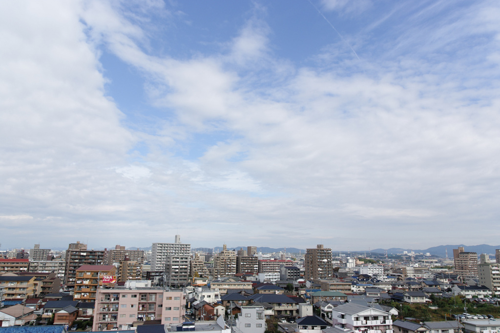 おさんぽ日和