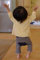 をどり