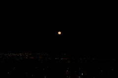 月夜