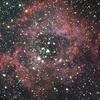 光害地で撮る天体―薔薇星雲