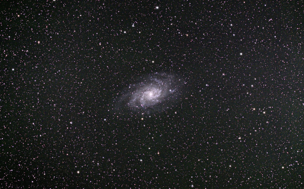 M33