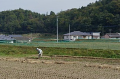 土を肥やす
