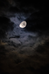 月夜