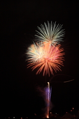 夜空に活けた花