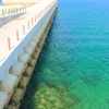 夏海