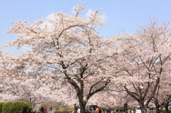 米泉湖にて