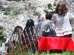 花見