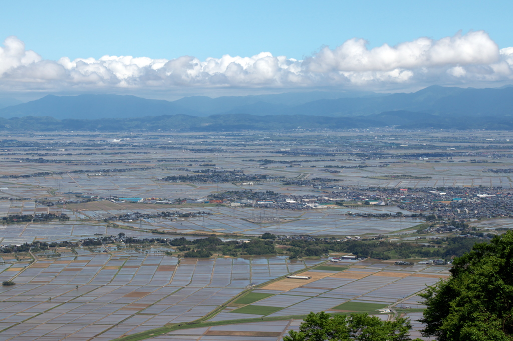 田んぼのある景色