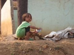 子犬と少女