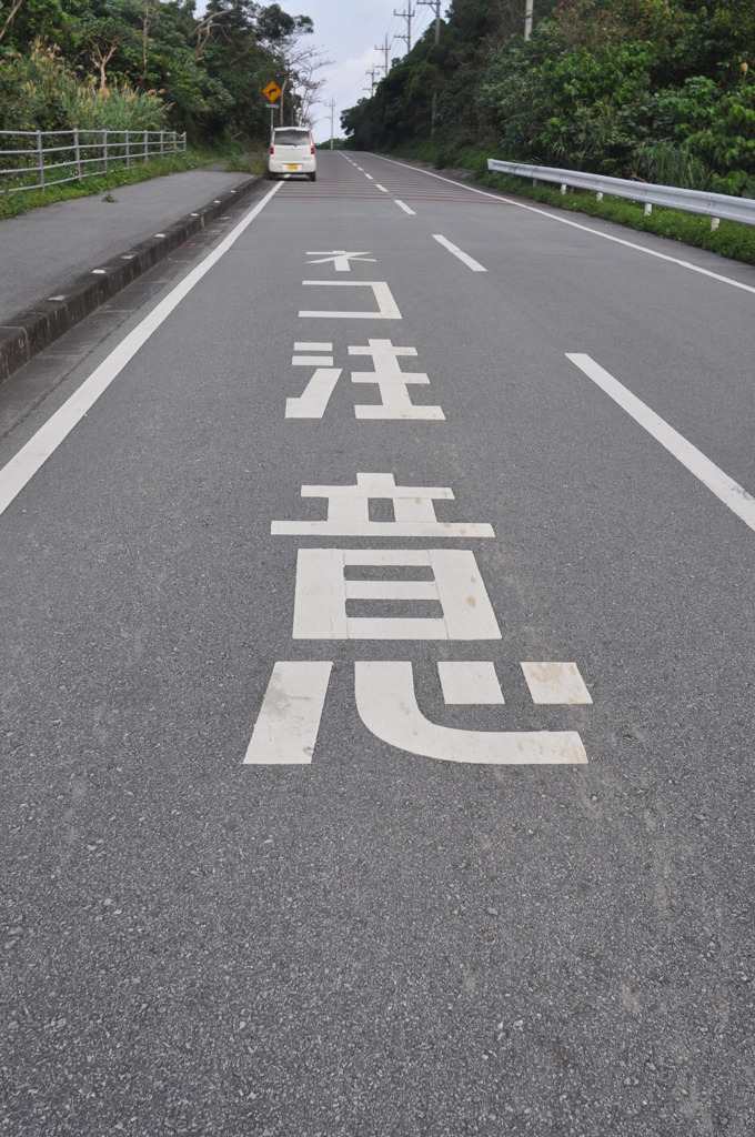 飛び出し注意！