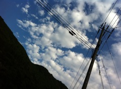 空
