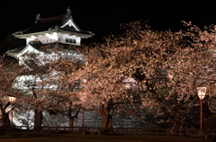 夜桜見物＠弘前城⑧
