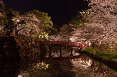 夜桜見物＠弘前城④