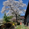 なつかしの学び舎　上岡小学校⑥桜と花壇に飾られて