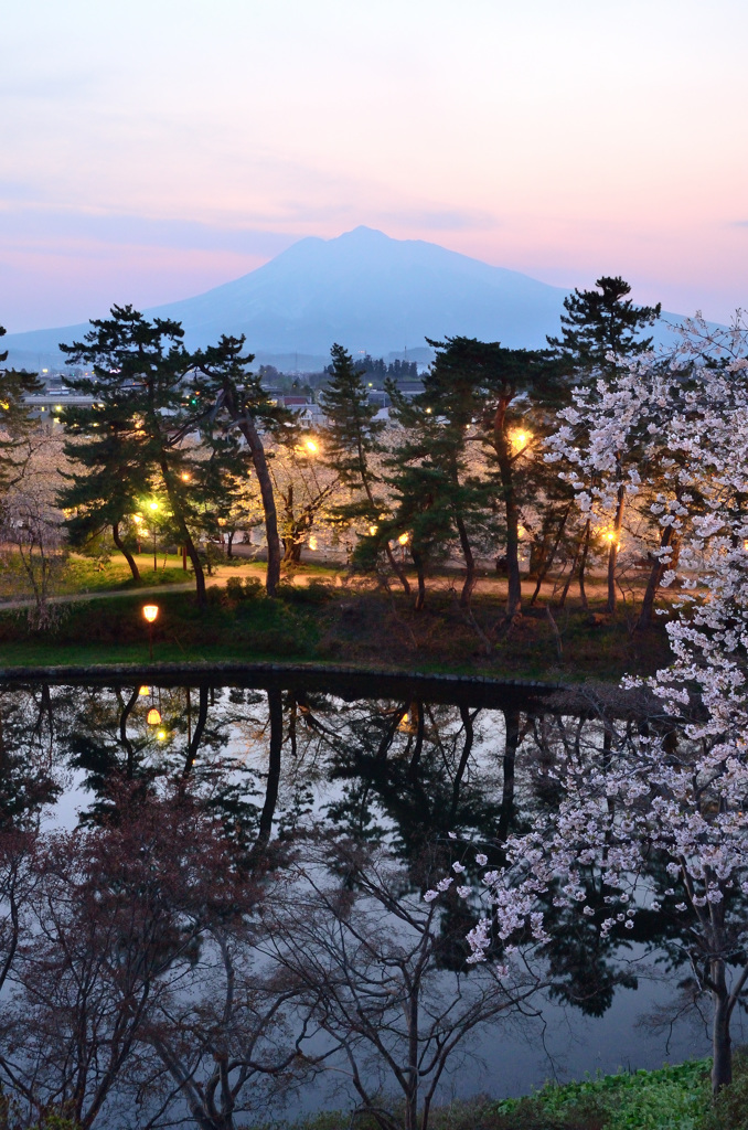 夜桜見物＠弘前城②