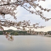 湖のほとりにて（白河・南湖公園にて）