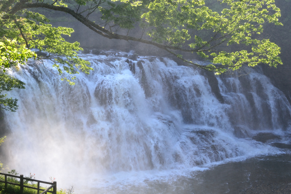 朝陽に煙る龍門の滝