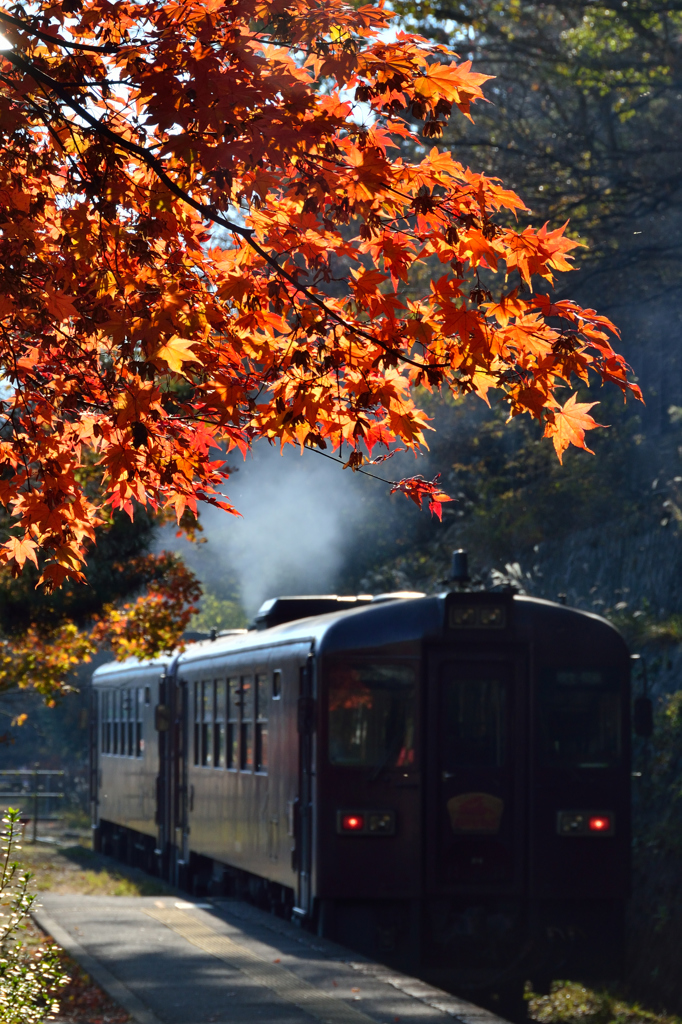 紅色に色づく停車場で・わたらせ渓谷鉄道