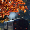 紅色に色づく停車場で・わたらせ渓谷鉄道