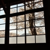 なつかしの学び舎　上岡小学校⑦教室の窓の外は桜色