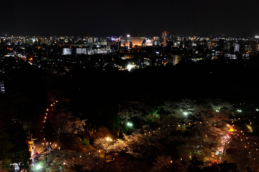 宇都宮タワー展望台より宇都宮市街夜景①