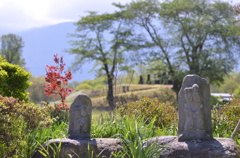 里山にて①