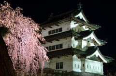 夜桜見物＠弘前城⑤
