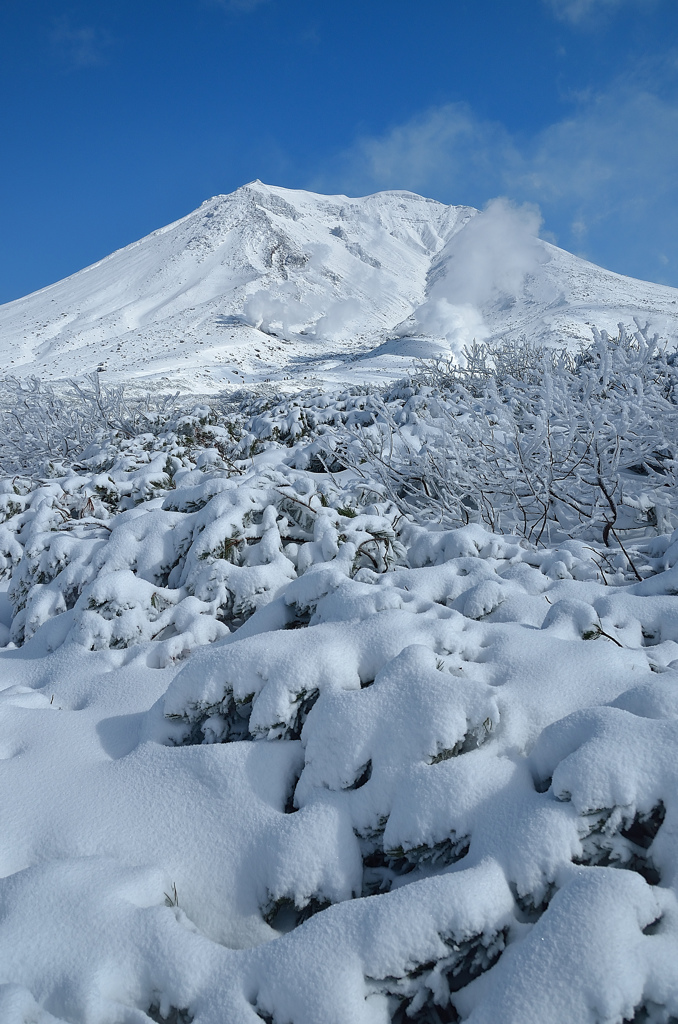 白銀に染まる大雪・旭岳①