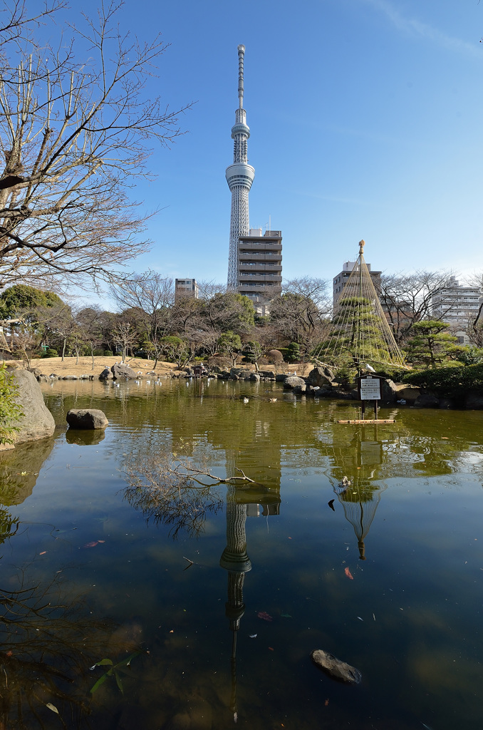 東京スカイツリー①