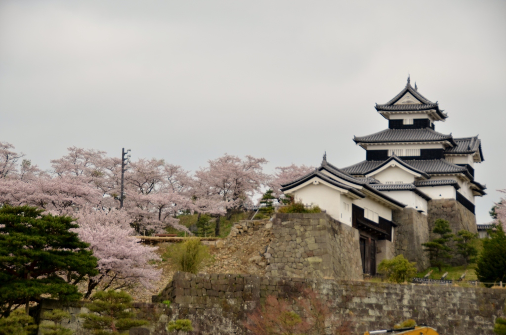 復興を祈る（福島・白河城にて）